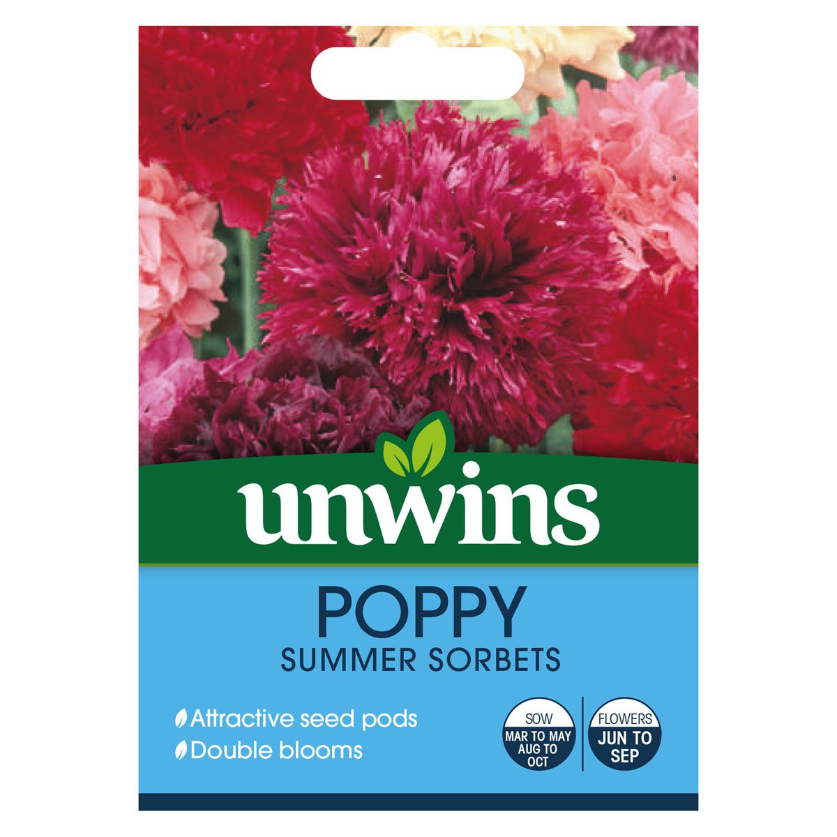 5051618012072 1 Poppy Summer Sorbets Seeds.jpg
